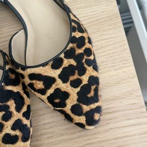 Franco Sarto Leopard Ankle Strap Flats